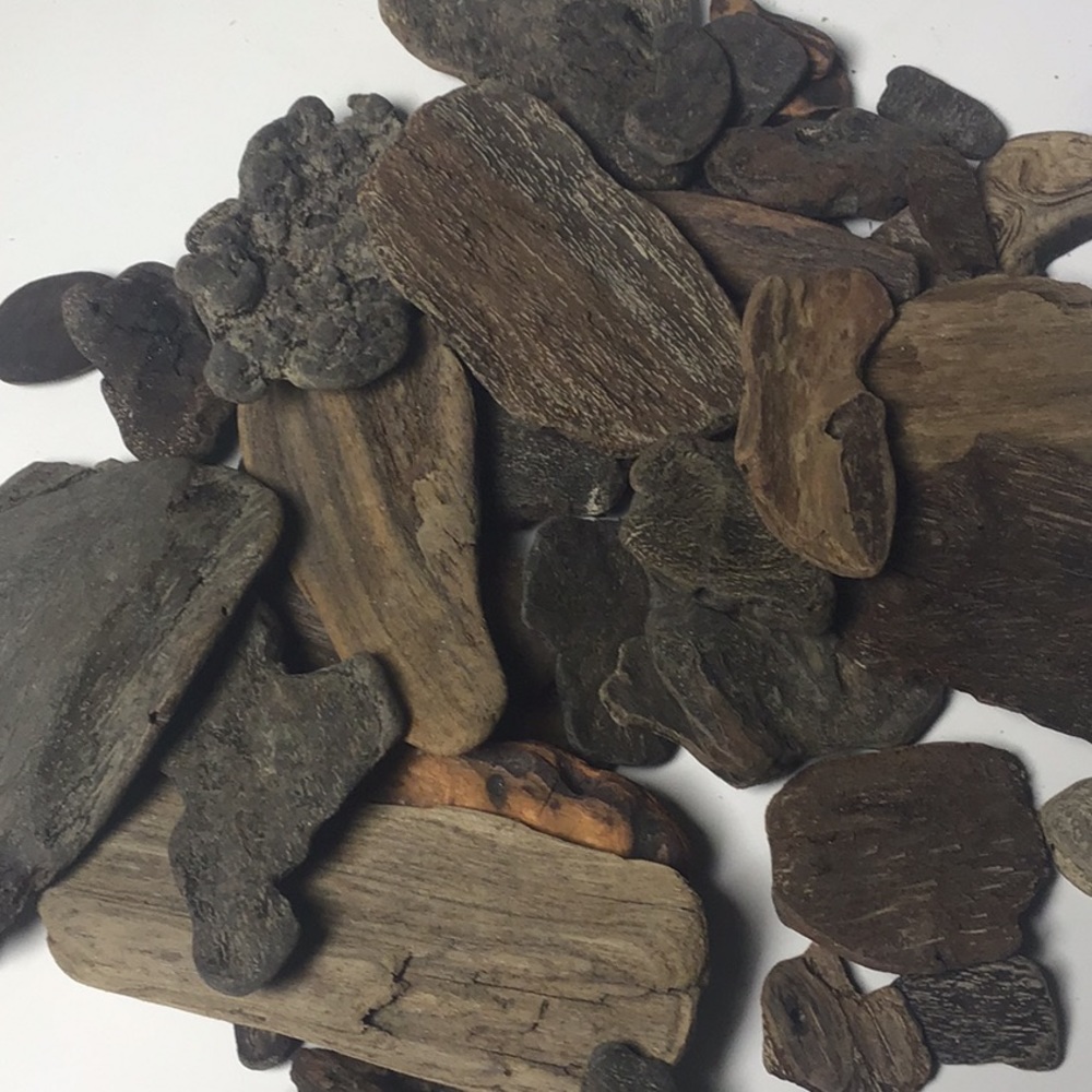Northern California Driftwood bark